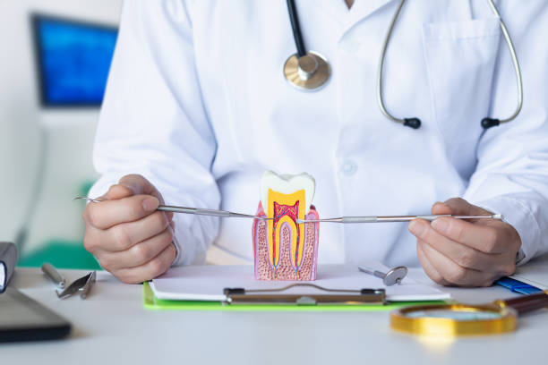 Best Walk-In Emergency Dentist in Lugoff, SC